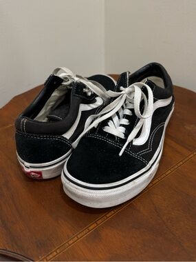 Vans Black & White Low-Top Skate Sneakers
